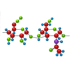 Hyaluronic Acid Hyaluronic Acid