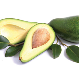 Avocado Oil - Persea Gratissima Avocado Oil - Persea Gratissima
