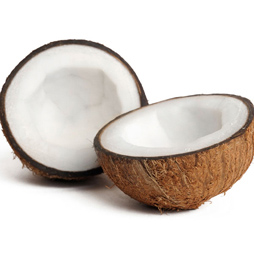 Coconut Oil – Cocos Nucifera Coconut Oil – Cocos Nucifera