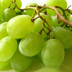 Grape Seed Oil - Vitis Vinifera