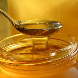 Honey Extract Honey Extract
