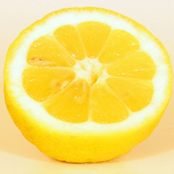 Lemon Extract - Citrus Medica Limonum Lemon Extract - Citrus Medica Limonum