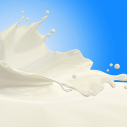 Milk Protein - Lactose Milk Protein - Lactose