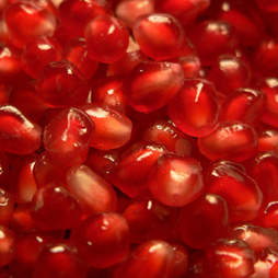 Pomegranate Extract Pomegranate Extract