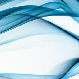 Silk Protein Silk Protein
