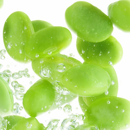 Soybean Protein Soybean Protein