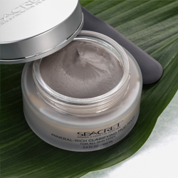 Mineral-Rich Clarifying Mud Mask - Mineral-Rich Clarifying Mask